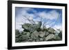 Construction Rubble-Chris Henderson-Framed Photographic Print