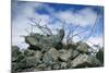 Construction Rubble-Chris Henderson-Mounted Photographic Print