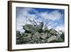 Construction Rubble-Chris Henderson-Framed Photographic Print