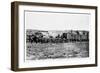 Construction Train on the Union Pacific Railroad, USA, 1868-null-Framed Premium Giclee Print