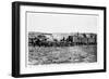 Construction Train on the Union Pacific Railroad, USA, 1868-null-Framed Premium Giclee Print