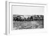 Construction Train on the Union Pacific Railroad, USA, 1868-null-Framed Premium Giclee Print