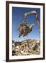 Construction Waste Being Sorted for Recycling-Chris Henderson-Framed Photographic Print