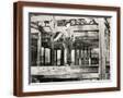 Brown Frame