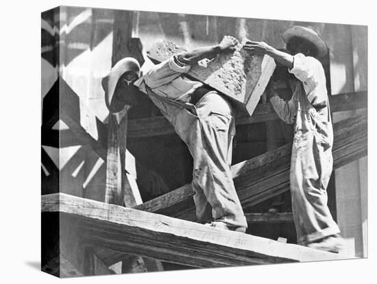 Construction Workers at the Stadium, Mexico City, 1927-Tina Modotti-Stretched Canvas