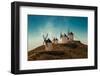 Consuegra-J. Antonio Pardo-Framed Photographic Print