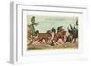 Consular Coachmanship!! Publisher-null-Framed Giclee Print