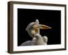 Consuming Love...-Thierry Dufour-Framed Photographic Print