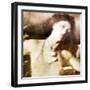 Contact-Gideon Ansell-Framed Photographic Print