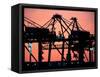 Container Cranes, Port of Auckland-David Wall-Framed Stretched Canvas