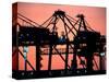 Container Cranes, Port of Auckland-David Wall-Stretched Canvas