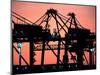 Container Cranes, Port of Auckland-David Wall-Mounted Photographic Print