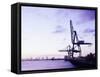 Container Cranes-Carlos Dominguez-Framed Stretched Canvas