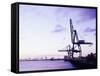 Container Cranes-Carlos Dominguez-Framed Stretched Canvas