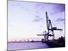 Container Cranes-Carlos Dominguez-Mounted Photographic Print