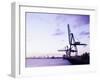 Container Cranes-Carlos Dominguez-Framed Photographic Print