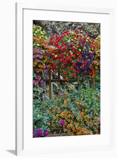 Container gardening on deck with annual flowers-Darrell Gulin-Framed Photographic Print