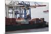 Container Ship and Dock Hamburg, Germany-Dennis Brack-Mounted Photographic Print