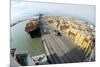 Container Ship And Port-Dr. Juerg Alean-Mounted Photographic Print