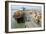 Container Ship And Port-Dr. Juerg Alean-Framed Photographic Print