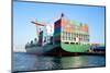 Container Ship Full of Cargo-Faraways-Mounted Photographic Print