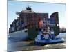Container Ship on the River Elbe, Hamburg, Germany, Europe-Hans Peter Merten-Mounted Photographic Print