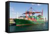 Container Ship-EvrenKalinbacak-Framed Stretched Canvas