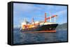 Container Ship-ilfede-Framed Stretched Canvas