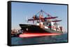 Container Ship-EvrenKalinbacak-Framed Stretched Canvas