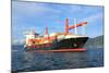 Container Ship-ilfede-Mounted Photographic Print