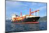 Container Ship-ilfede-Mounted Photographic Print