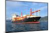Container Ship-ilfede-Mounted Photographic Print