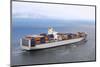 Container Ship-Rafael Ramirez Lee-Mounted Photographic Print