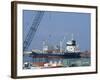 Container Ships in Port Area, Lattakia, Syria, Middle East-Christian Kober-Framed Photographic Print