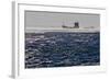 Container Ships in the Windstorm-Yurephoto-Framed Photographic Print