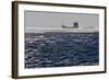 Container Ships in the Windstorm-Yurephoto-Framed Photographic Print