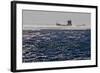 Container Ships in the Windstorm-Yurephoto-Framed Photographic Print