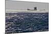 Container Ships in the Windstorm-Yurephoto-Mounted Photographic Print