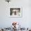 Containers of Gelato Displayed in Freezer-null-Framed Photographic Print displayed on a wall