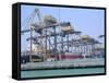 Containers on the Docks, Singapore Harbour, Singapore-Fraser Hall-Framed Stretched Canvas