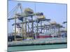 Containers on the Docks, Singapore Harbour, Singapore-Fraser Hall-Mounted Photographic Print