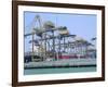 Containers on the Docks, Singapore Harbour, Singapore-Fraser Hall-Framed Photographic Print