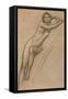 Conte Drawing of Nude Woman-null-Framed Stretched Canvas