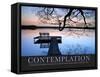 Contemplation (French Translation)-null-Framed Stretched Canvas