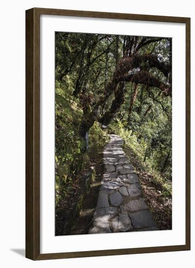 Contemplation Path-Andrew Geiger-Framed Giclee Print