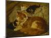 Contemplation Time-Henriette Ronner-Knip-Mounted Giclee Print