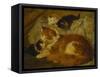 Contemplation Time-Henriette Ronner-Knip-Framed Stretched Canvas