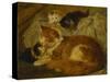 Contemplation Time-Henriette Ronner-Knip-Stretched Canvas