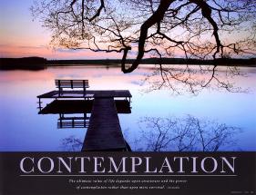 Contemplation-null-Lamina Framed Art Print
