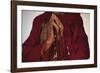 Contemplation-Basil Pao-Framed Giclee Print